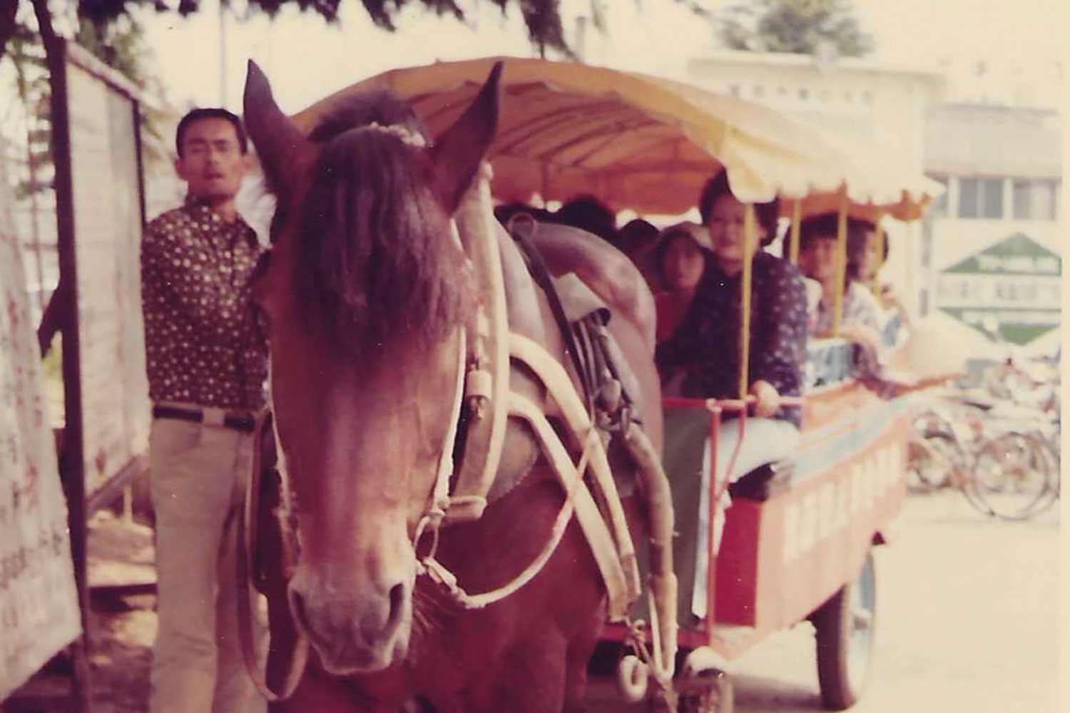 観光馬車