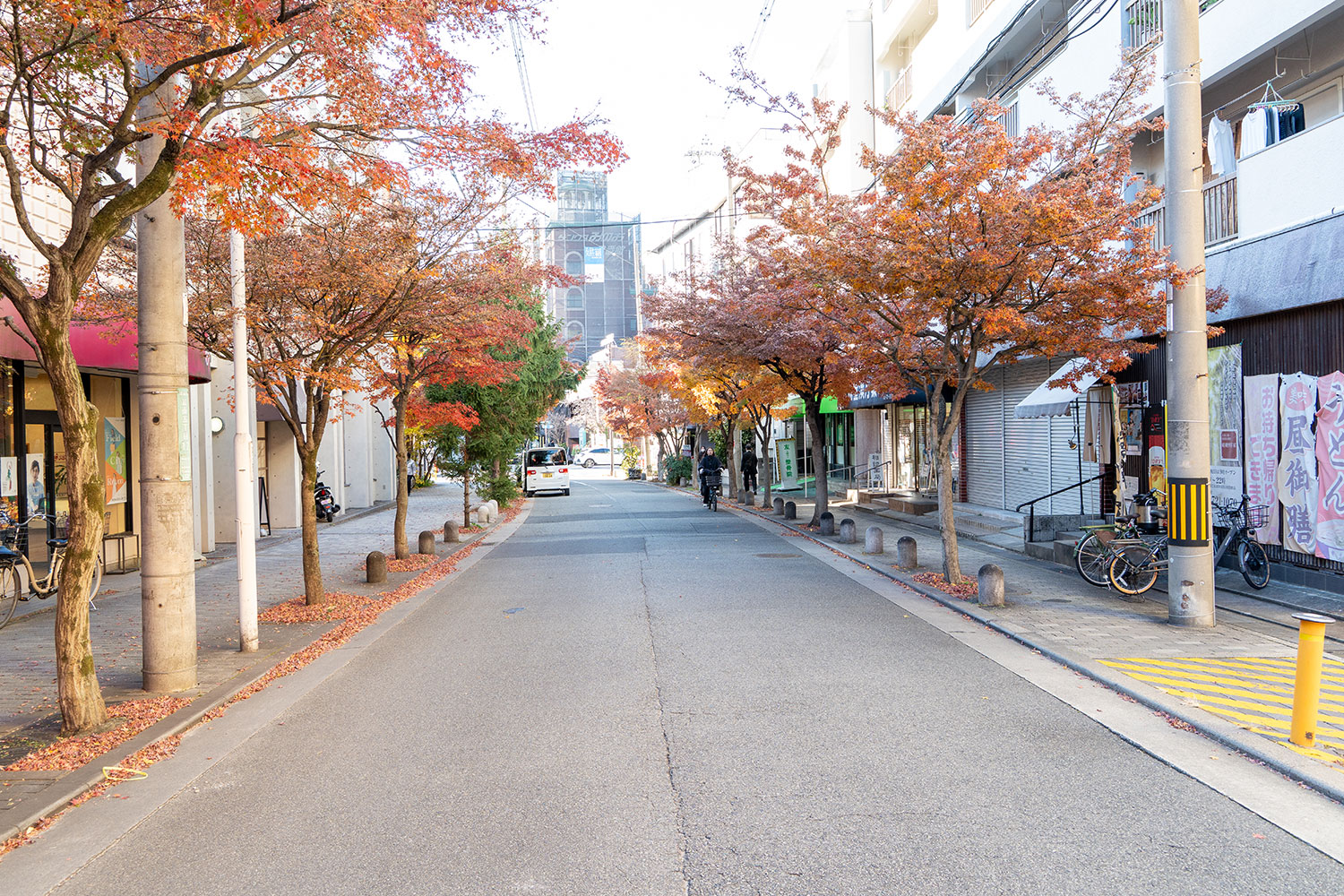 街路樹